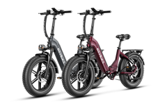Heybike Ranger S 1000W Combo