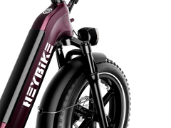 Heybike Ranger S