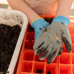 Bootstrap Farmer Classroom Seed Starting Bundle - Green Vista Living