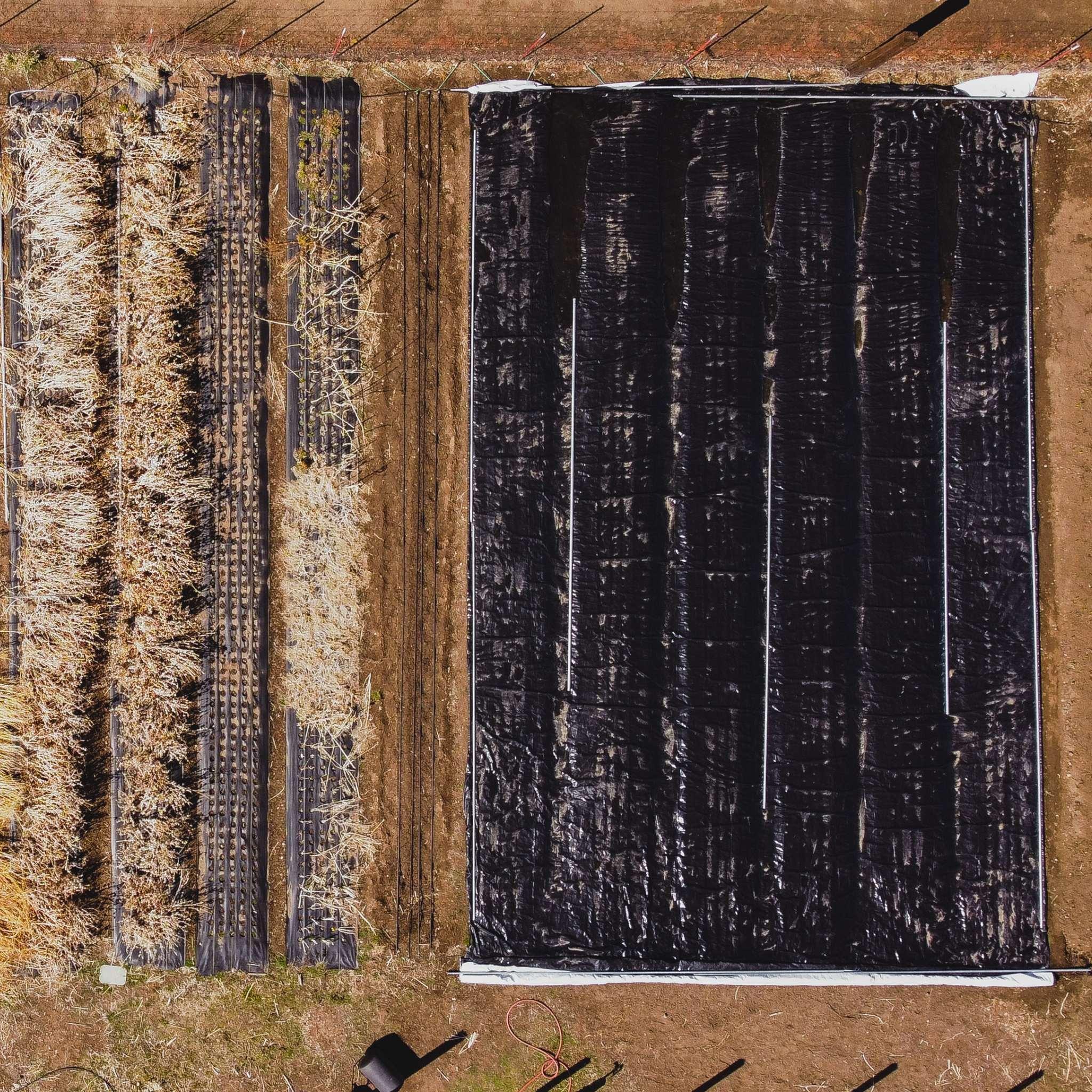 Bootstrap Farmer Silage Tarp - 6 mil Reversible Black & White - Green Vista Living
