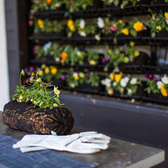 Bootstrap Farmer Varden™ Soil-Filled Vardensok - Green Vista Living