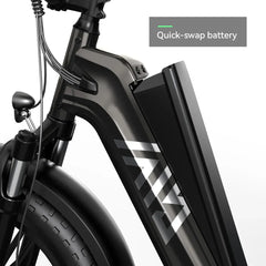 TST® Carrier 20'' Cargo Electric Bike