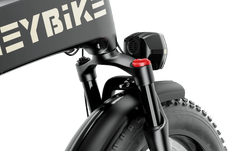 Heybike Tyson