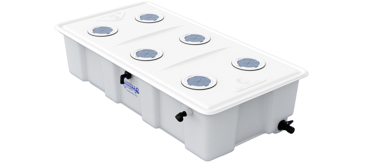 Current Culture H2O Medium-Less Deep Water Culture Hydroponic System 35-Gallon 6 Plant Kit with Liquid Fertilizers & Planting Supplies