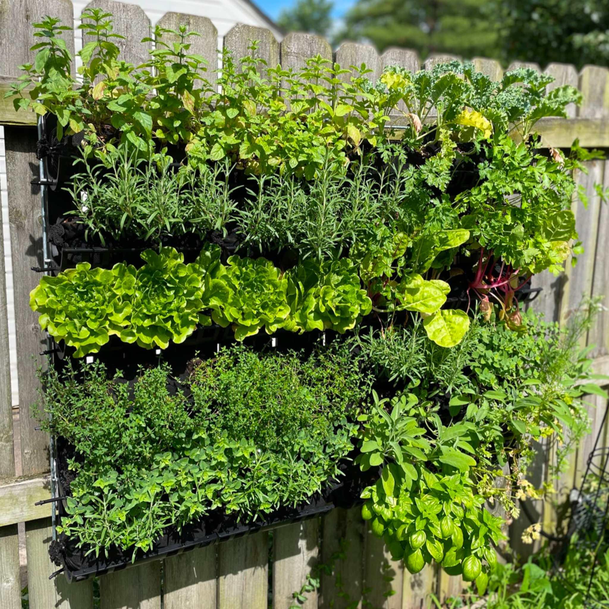 Bootstrap Farmer Varden™ Kitchen Garden - Green Vista Living