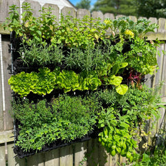Bootstrap Farmer Varden™ Kitchen Garden - Green Vista Living