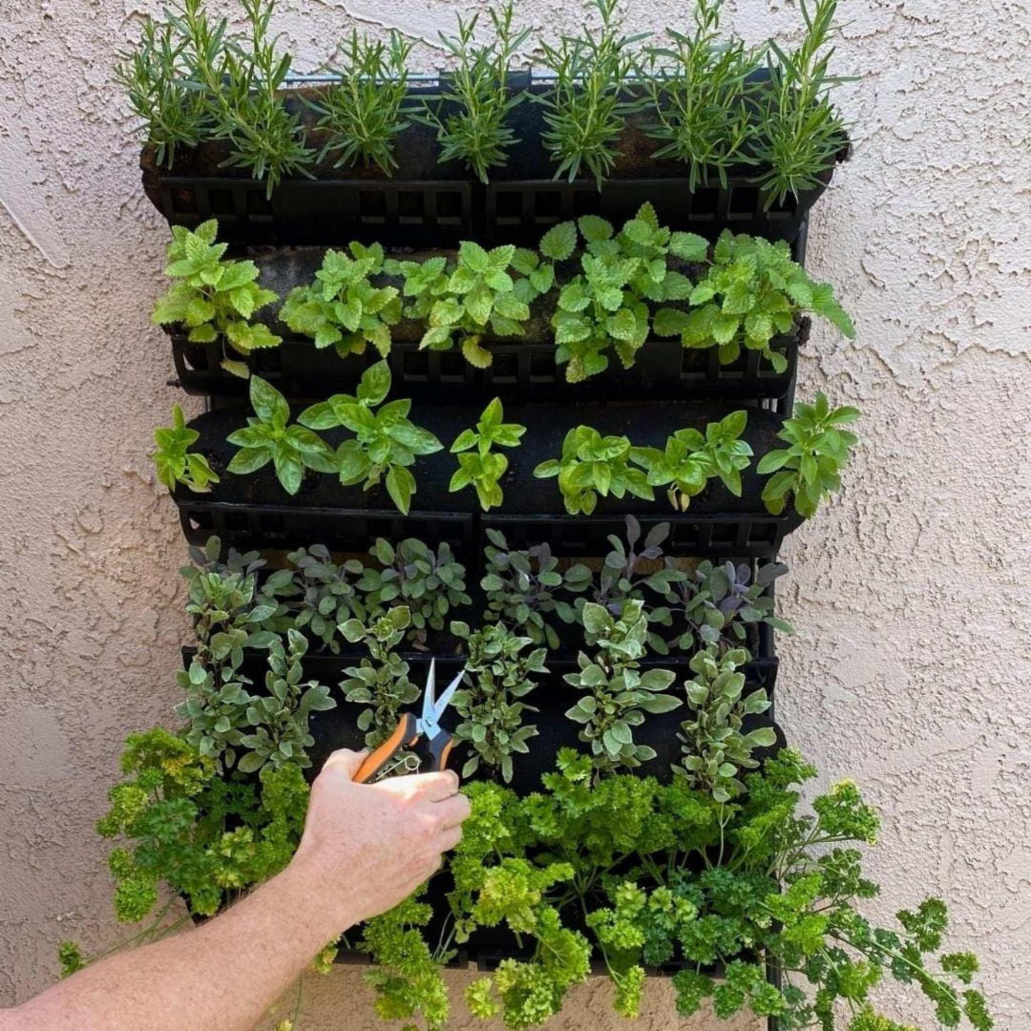 Bootstrap Farmer Varden™ Kitchen Garden - Green Vista Living