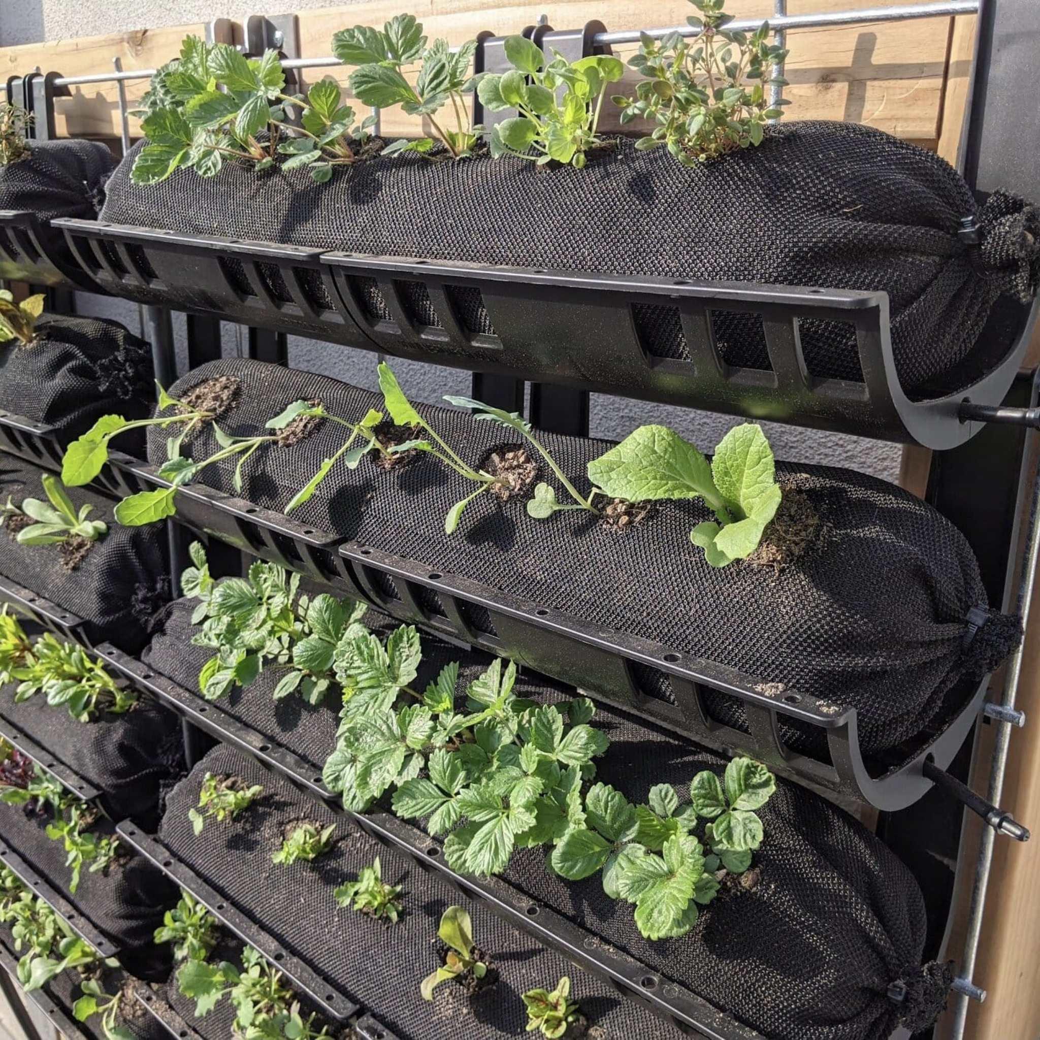 Bootstrap Farmer Varden™ Trays - Green Vista Living