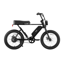 SWFT Z.X E-bike