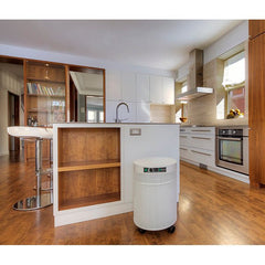 Airpura R-Series - Best General Cleaning All Purpose Air Purifier - R600 and R700 Airpura
