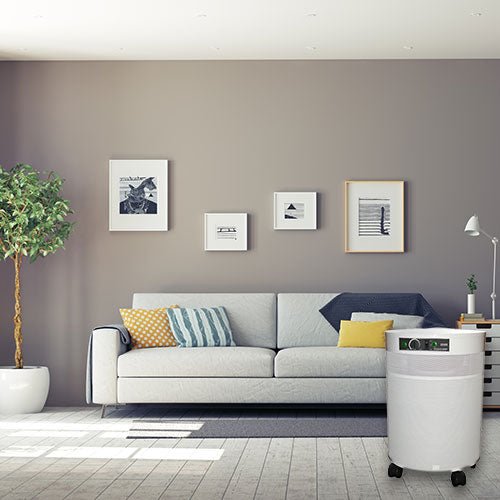 Airpura V-Series Air Purifiers for Asbestos, Ammonia, Nitrogen Oxide and More - V600 and V700 Airpura