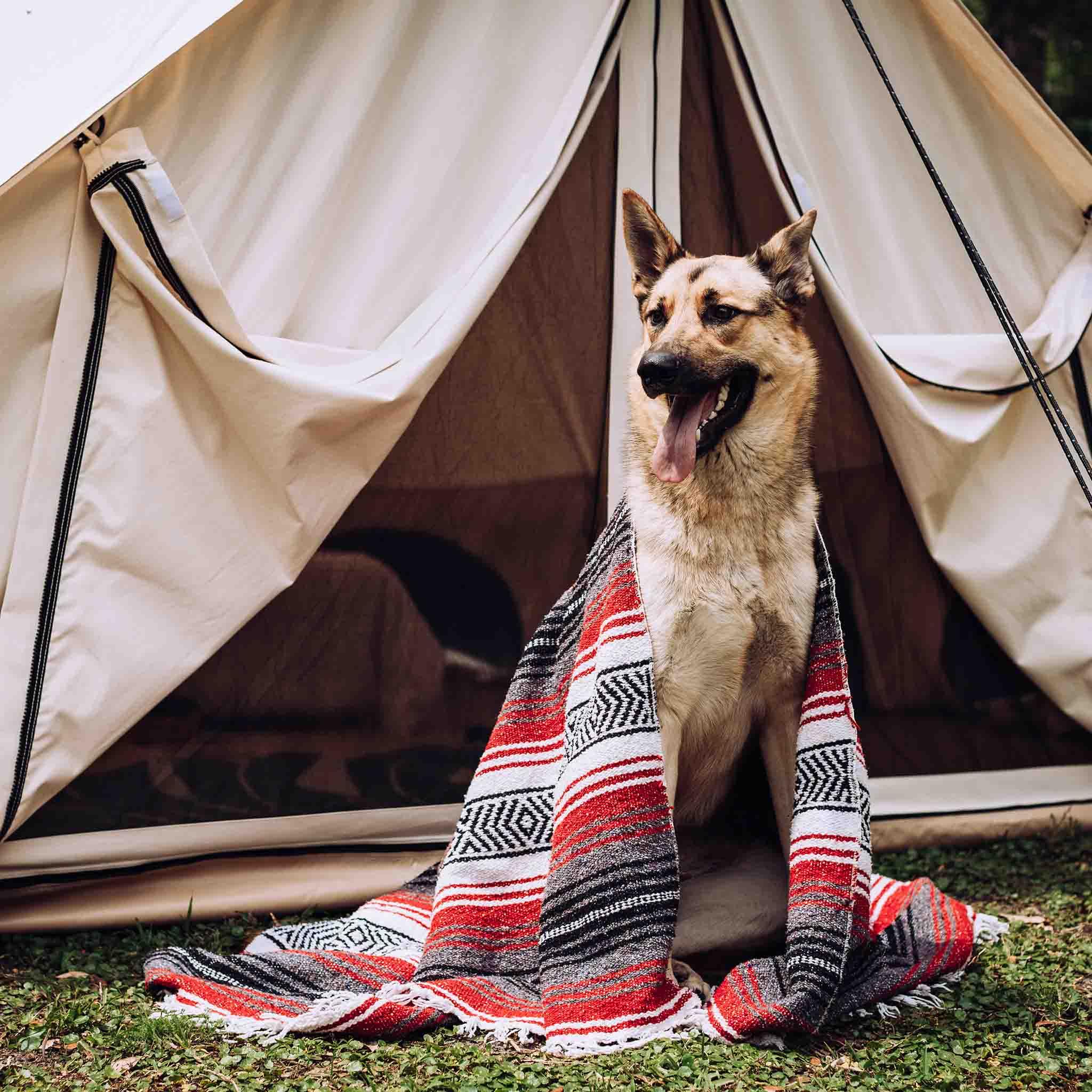 13' Avalon Bell Tent - Green Vista Living