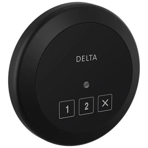 Delta Steamscape Round Control