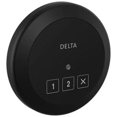Delta Steamscape Round Control