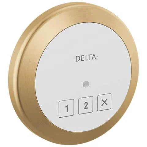 Delta Steamscape Round Control