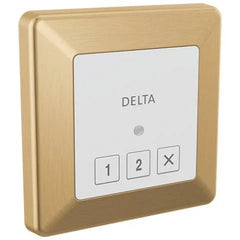 Delta Steamscape Square Steam Control