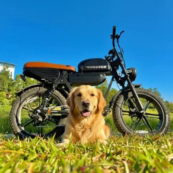 HOVSCO HovGtrs 1500W Moped-style Electric Bike - Green Vista Living