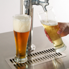 Fire Magic Outdoor Rated Kegerator