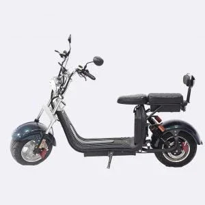 LinksEride CP1.1 2000W 60V 20Ah DUAL BATTERY 2 SEATER Electric Motorcycle Scooter - Green Vista Living