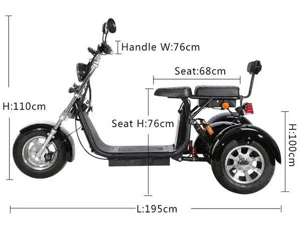 LinksEride CP3 2000W 60V Three Wheel Lithium Fat Tire Electric Scooter Trike - Green Vista Living