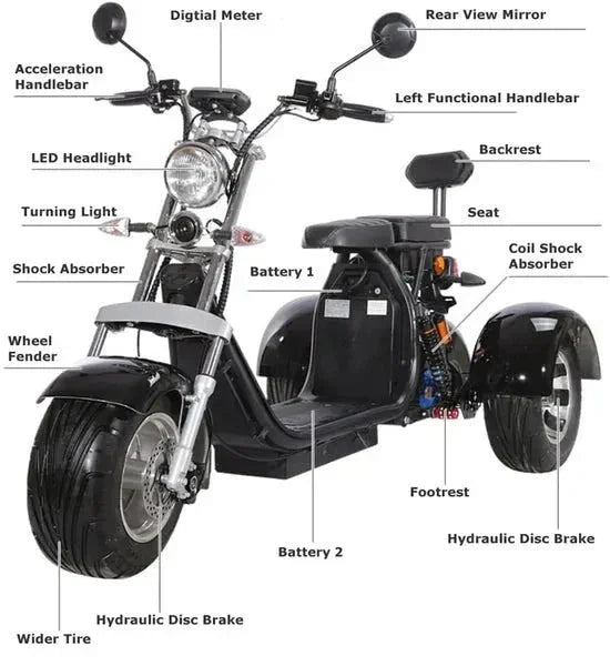 LinksEride CP3 2000W 60V Three Wheel Lithium Fat Tire Electric Scooter Trike - Green Vista Living