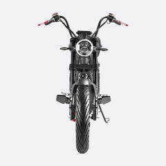 LinksEride CP6 Citycoco 4000W 60V 20Ah Fat Tire Electric Motorcycle Scooter - Green Vista Living