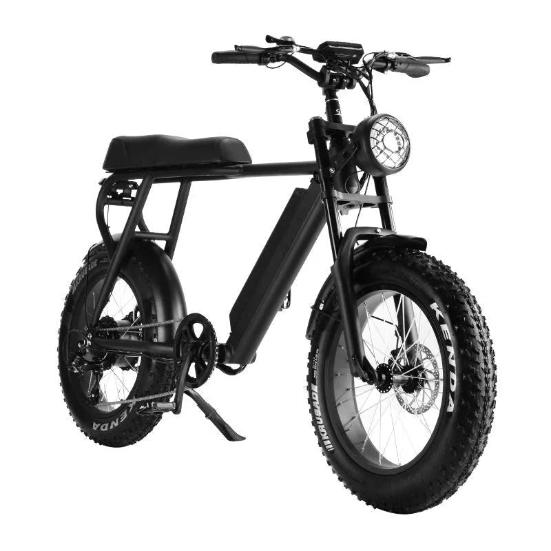 LinksEride HM-1 750W 48V 20" Aluminum Fat Tire Electric Scooter Moped Bike - Green Vista Living