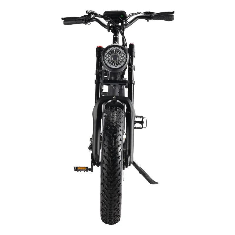 LinksEride HM-1 750W 48V 20" Aluminum Fat Tire Electric Scooter Moped Bike - Green Vista Living