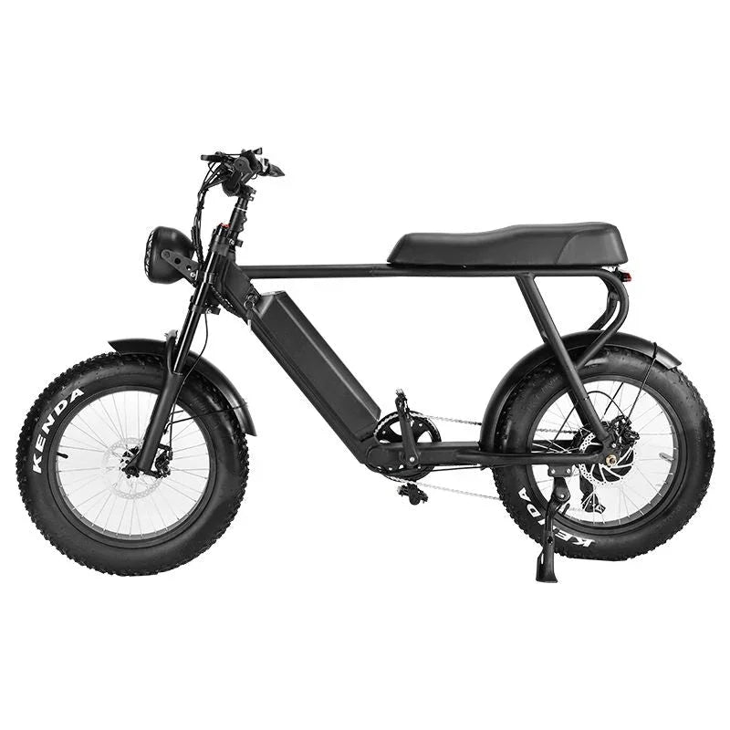 LinksEride HM-1 750W 48V 20" Aluminum Fat Tire Electric Scooter Moped Bike - Green Vista Living