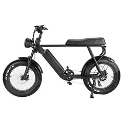 LinksEride HM-1 750W 48V 20" Aluminum Fat Tire Electric Scooter Moped Bike - Green Vista Living