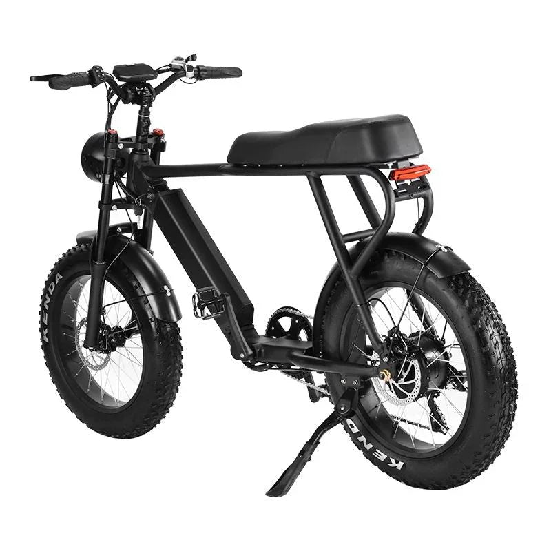 LinksEride HM-1 750W 48V 20" Aluminum Fat Tire Electric Scooter Moped Bike - Green Vista Living