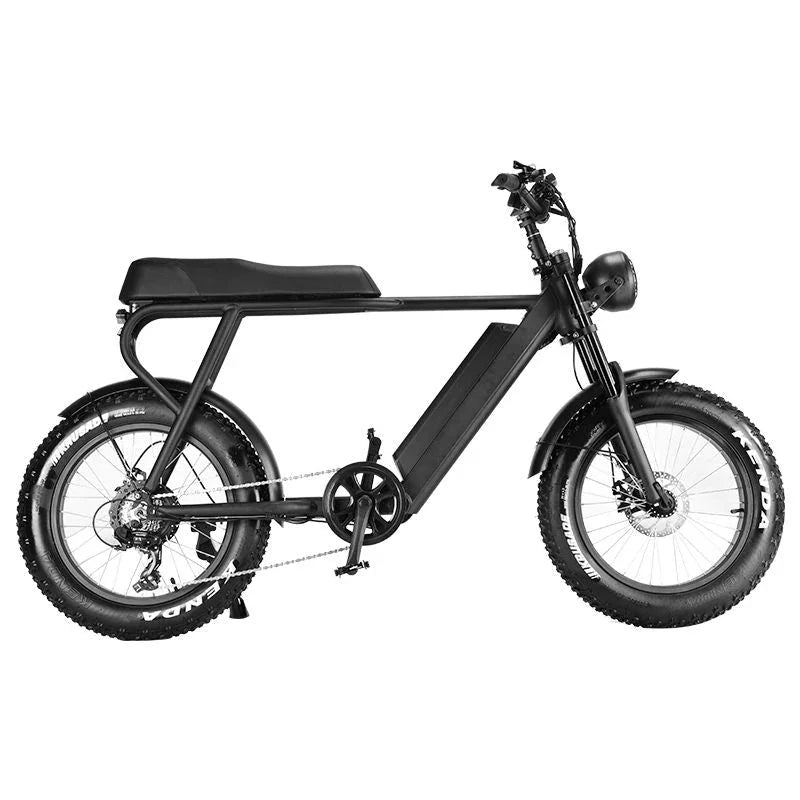 LinksEride HM-1 750W 48V 20" Aluminum Fat Tire Electric Scooter Moped Bike - Green Vista Living