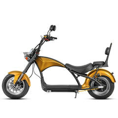 LinksEride M1 Citycoco 2 SEATER 2000W 60V 30Ah Fat Tire Lithium Electric Scooter - Green Vista Living