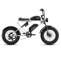 MEELOD DK300 PRO | 1200W Motor, Dual Battery - Green Vista Living