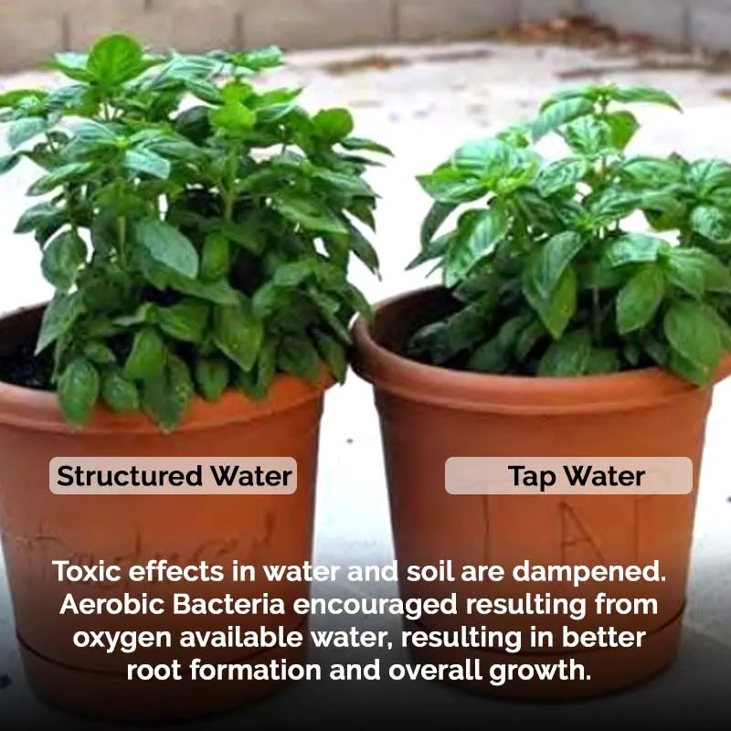 Homeowner's Bundle - Whole Home Structured Water Solution