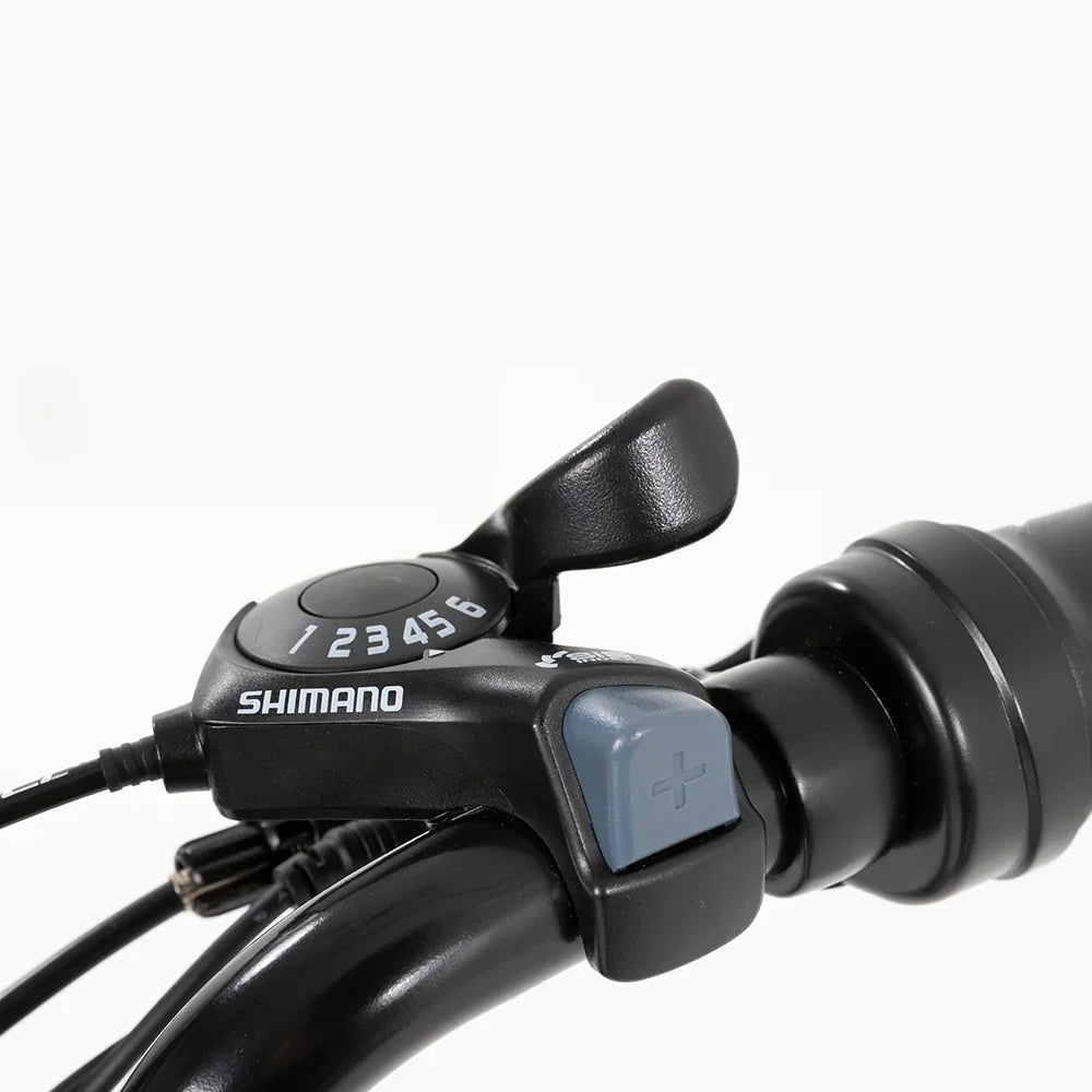 SWFT V.X E-bike SWFT