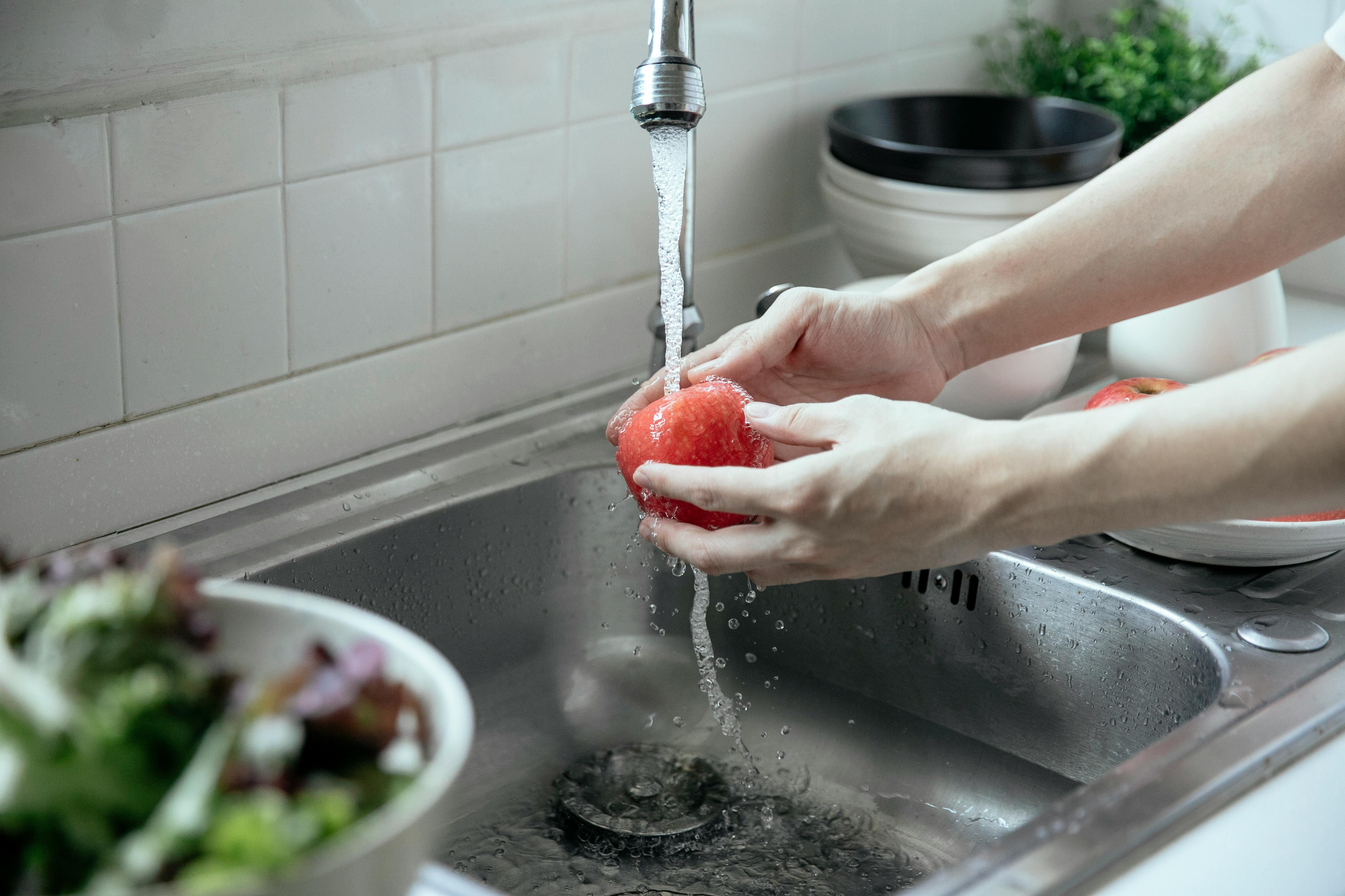 Whole Home Revitalizer with Under Sink Filtration - Green Vista Living