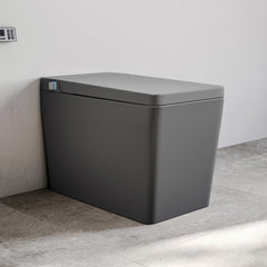 Swiss Madison Concorde One Piece Smart Toilet 1.28 GPF in Matte Gray with Heated Bidet, Air Drying, Night Light, Foot Sensor